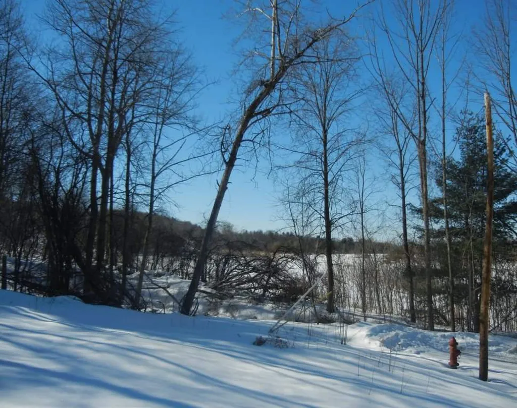 235 Tower Lane Williston VT 05495