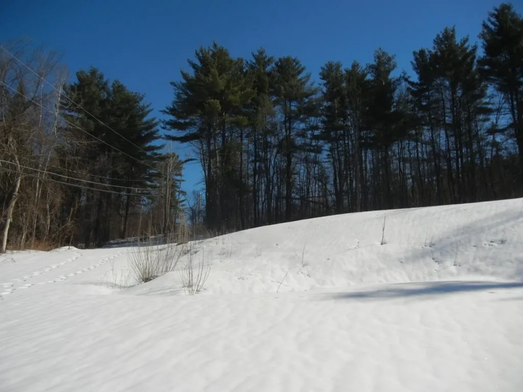 235 Tower Lane Williston VT 05495