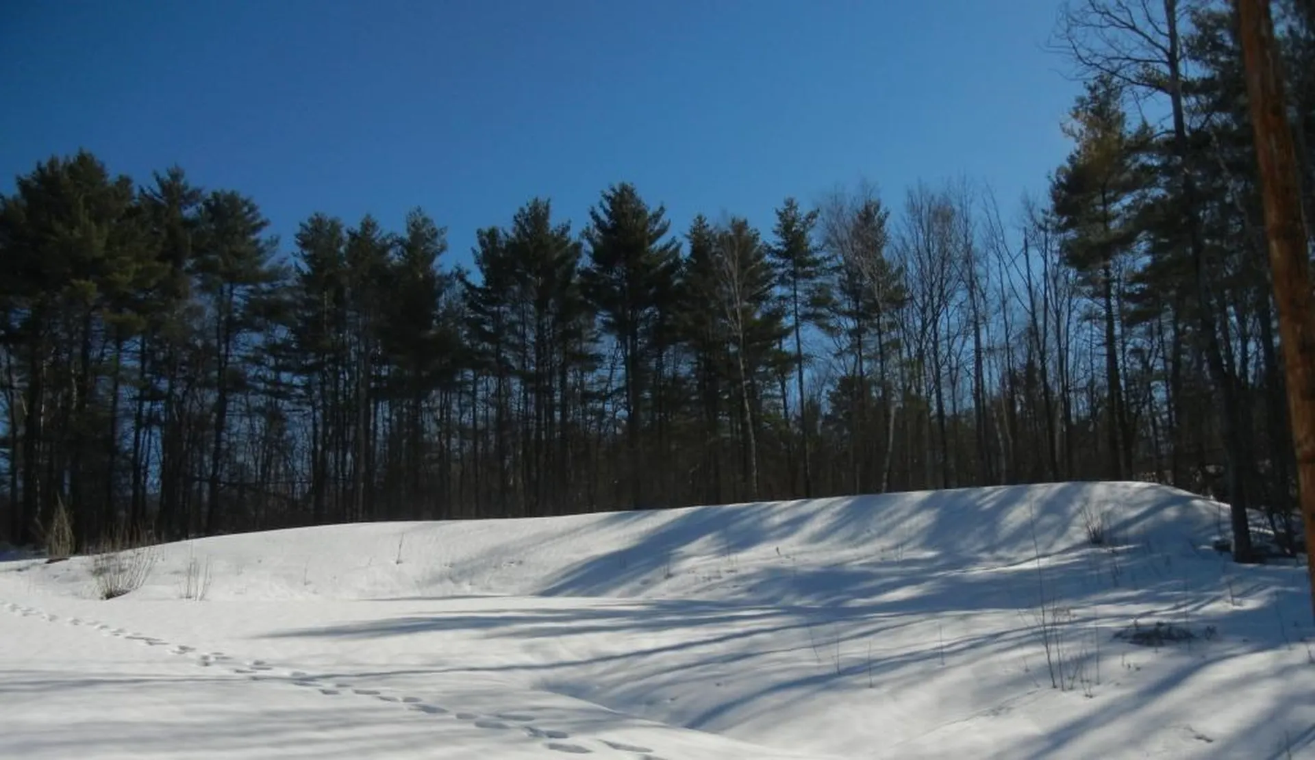 235 Tower Lane Williston VT 05495