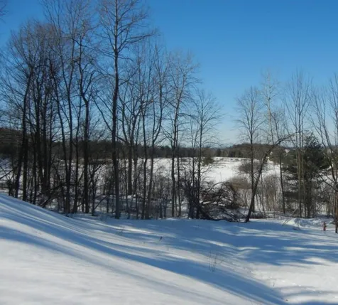235 Tower Lane Williston VT 05495