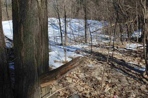 00 Route 116 Bristol VT 05443