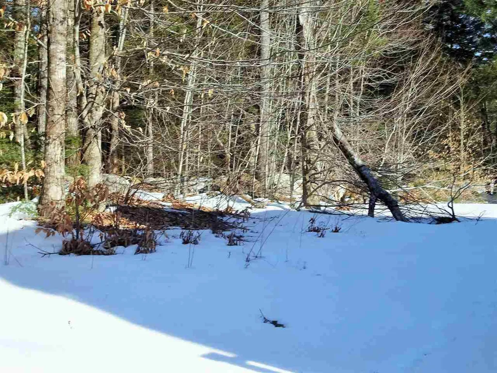 15 Dames Brook Drive Milton NH 03851
