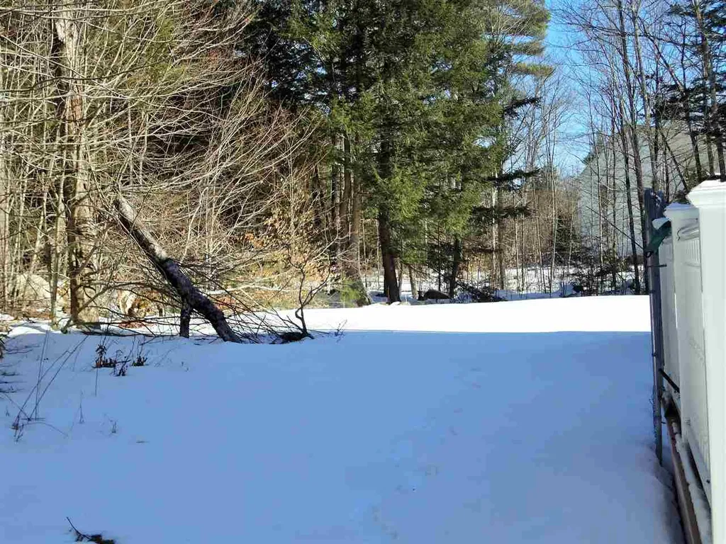 15 Dames Brook Drive Milton NH 03851