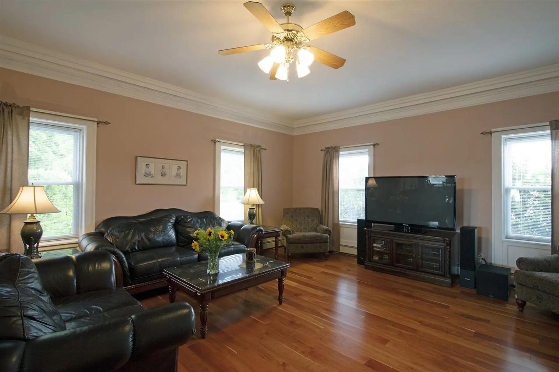 20 Westview Drive Shelburne VT 05482