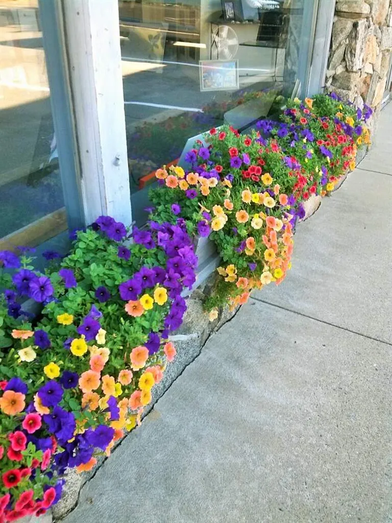 819 Lafayette Road Hampton NH 03842-2119