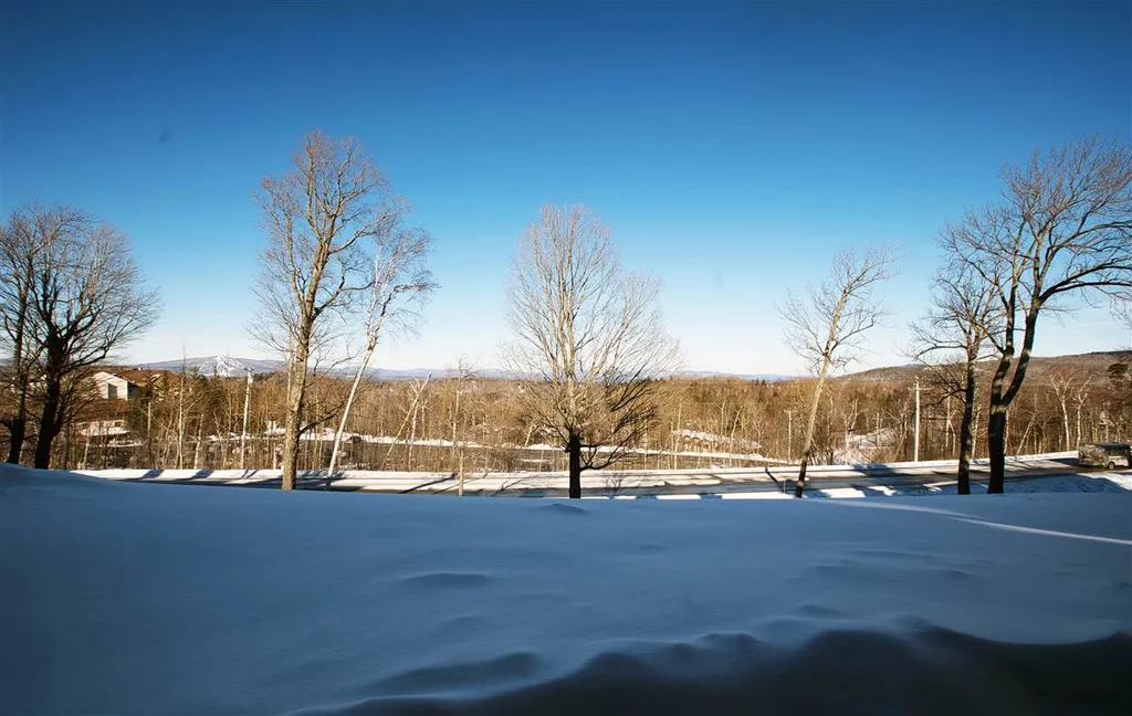 12 Obertal Drive Stratton VT 05155