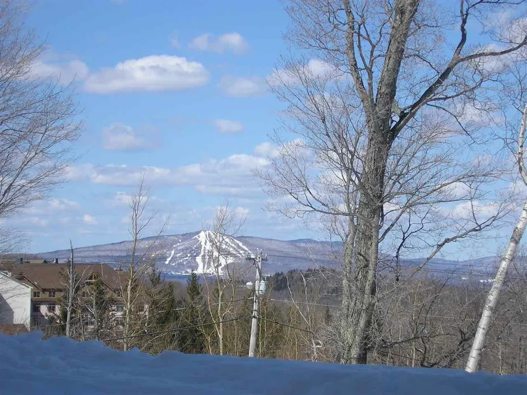 12 Obertal Drive Stratton VT 05155