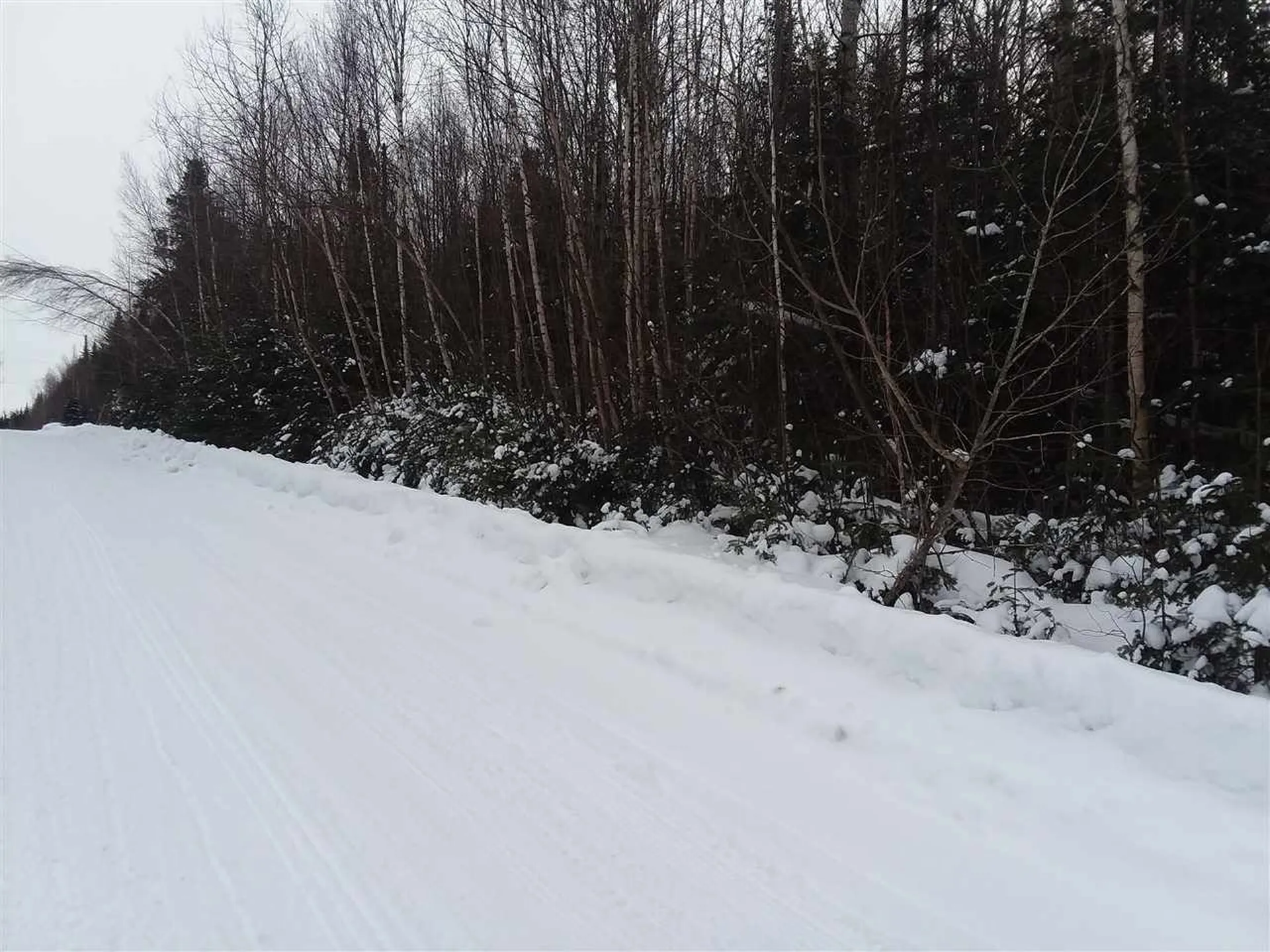 - Hutchinson Road Columbia NH 03576
