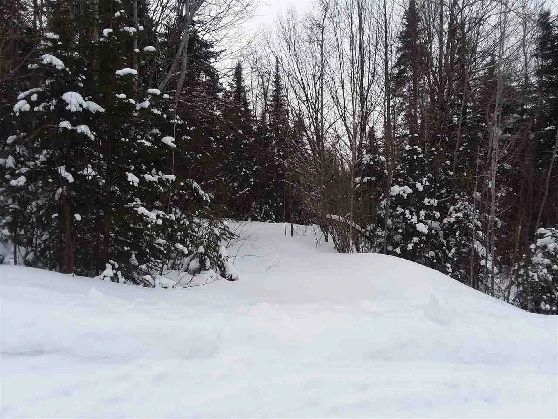 - Hutchinson Road Columbia NH 03576