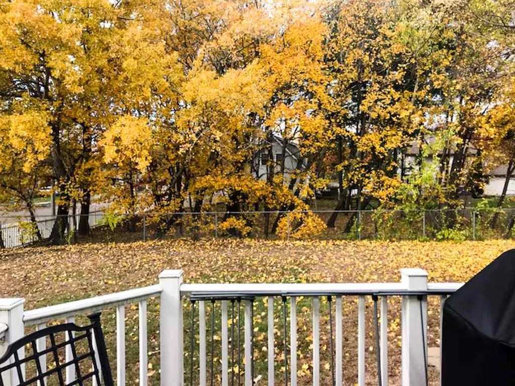 196 Tracy Drive Burlington VT 05408