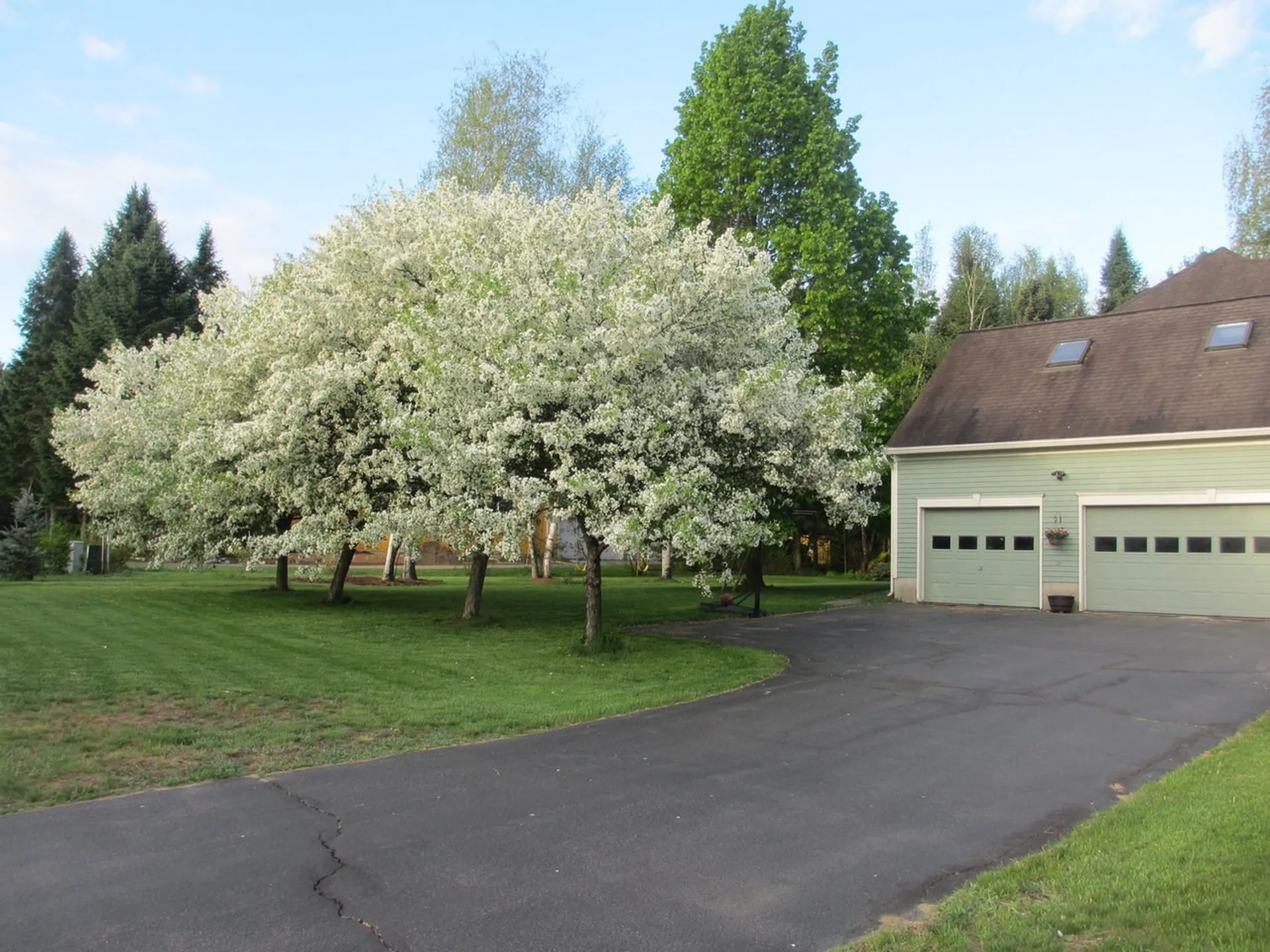 16 Spinnaker Lane Shelburne VT 05482