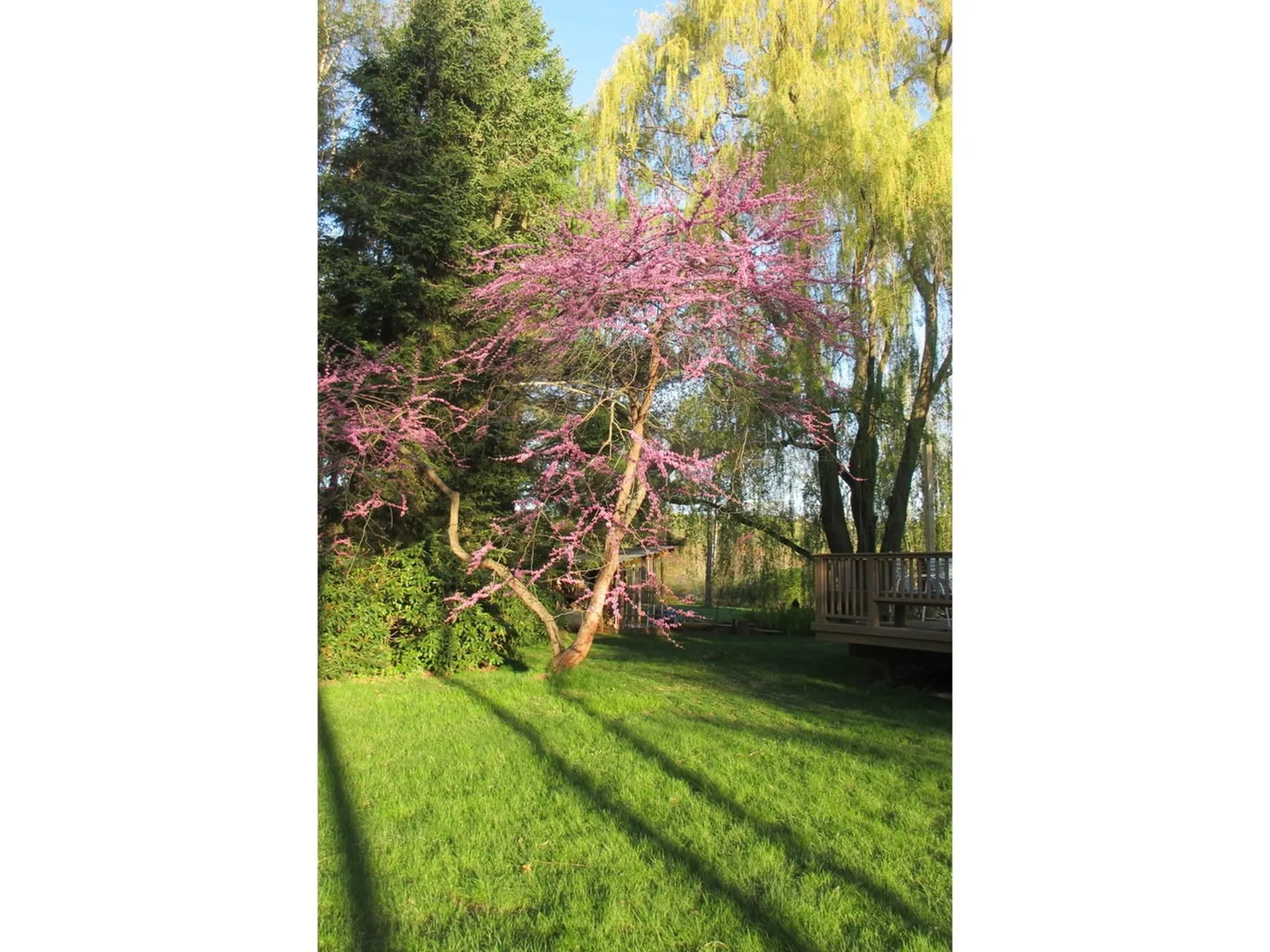 16 Spinnaker Lane Shelburne VT 05482