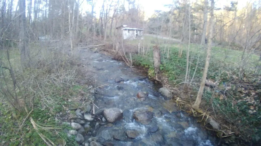 173 Beaver Meadow Road Vershire VT 05079