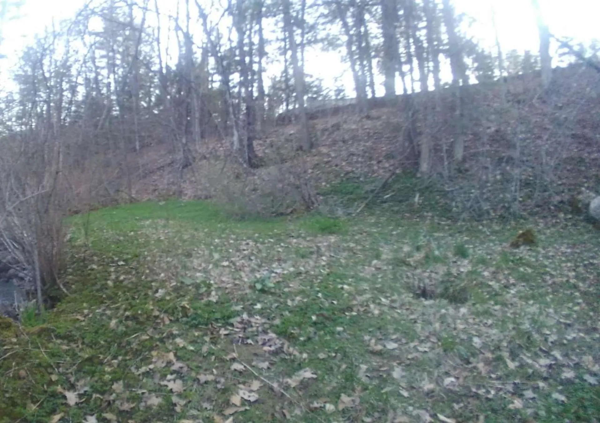 173 Beaver Meadow Road Vershire VT 05079