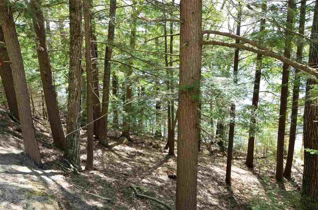 118 Camp Kemah Road Sutton NH 03273