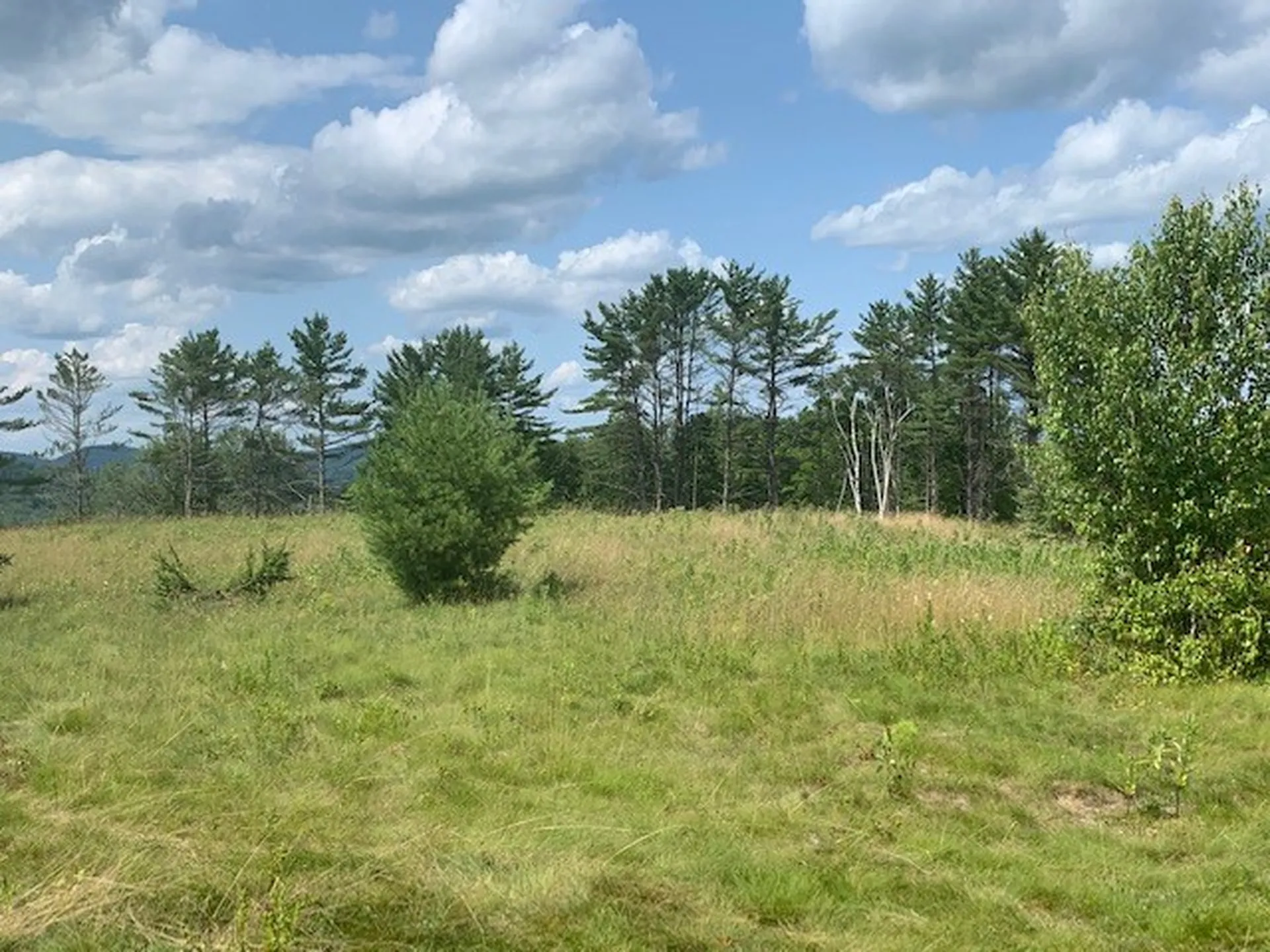 Lot 2 Gannon Road Littleton NH 03561