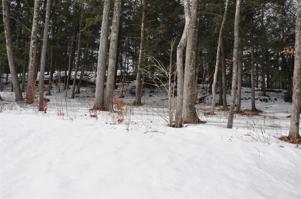 122 South Ridge Drive Middlebury VT 05753