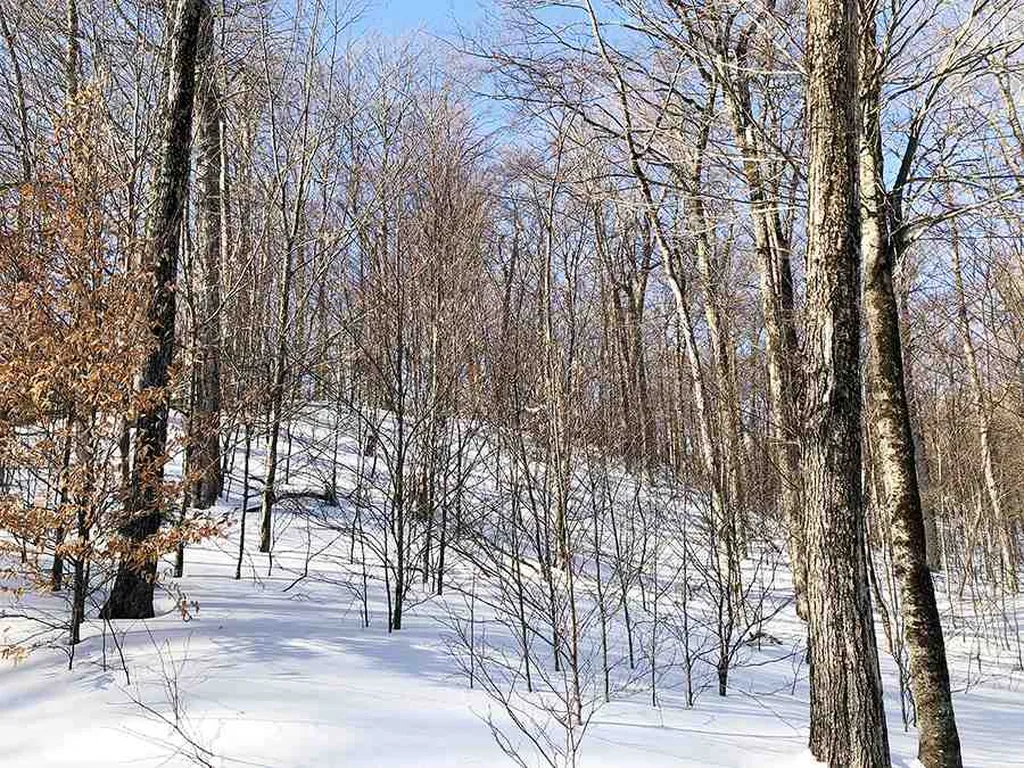 130 Colony Road Warren VT 05674