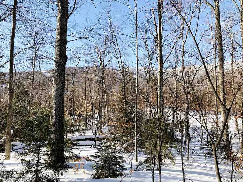 130 Colony Road Warren VT 05674