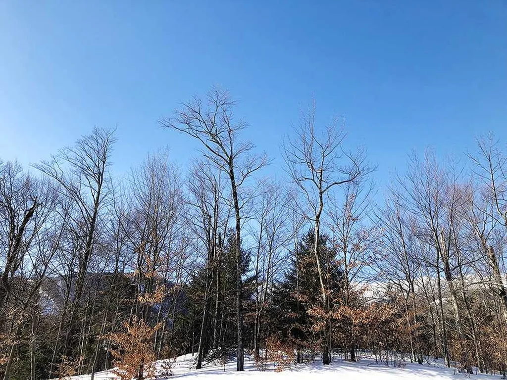 130 Colony Road Warren VT 05674