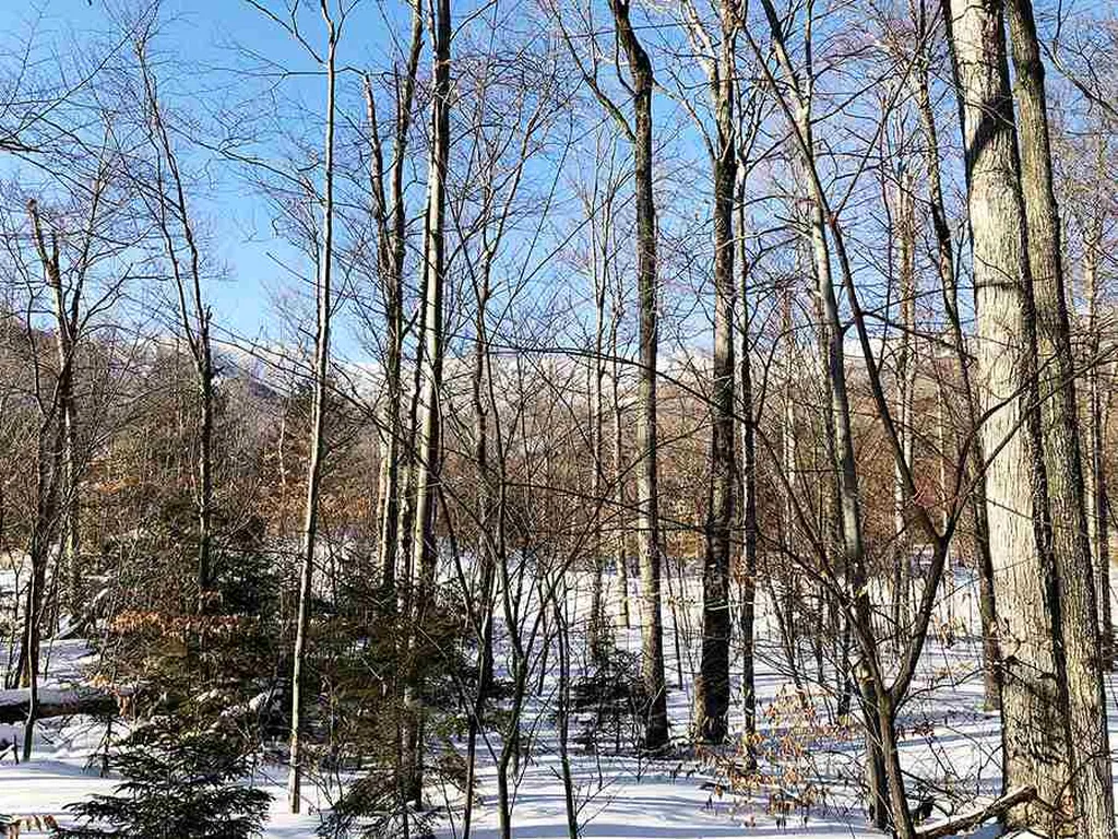 130 Colony Road Warren VT 05674
