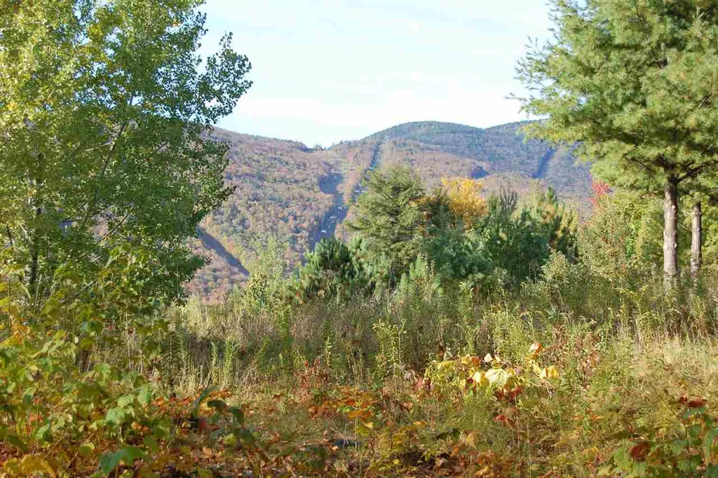 130 Colony Road Warren VT 05674