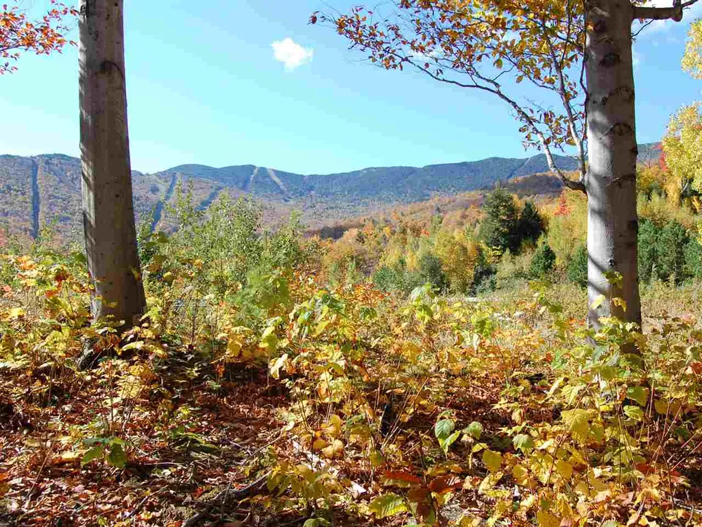130 Colony Road Warren VT 05674