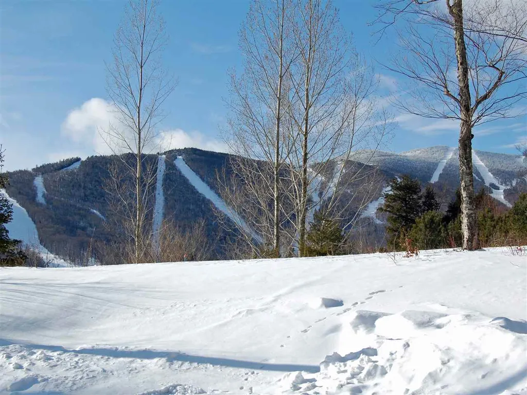 130 Colony Road Warren VT 05674