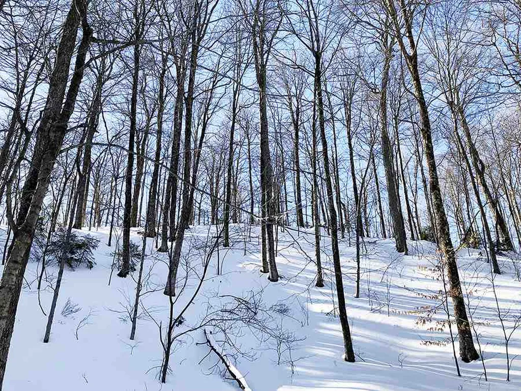 130 Colony Road Warren VT 05674