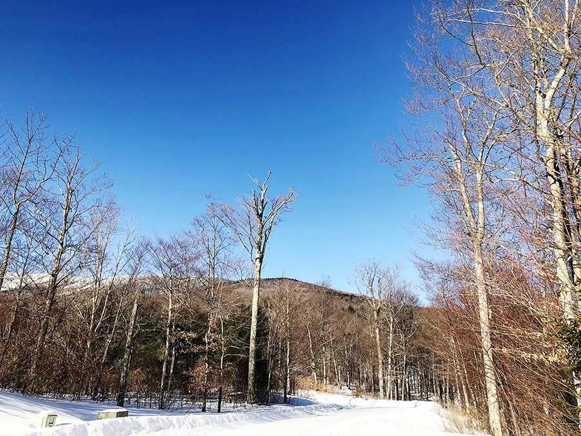 130 Colony Road Warren VT 05674