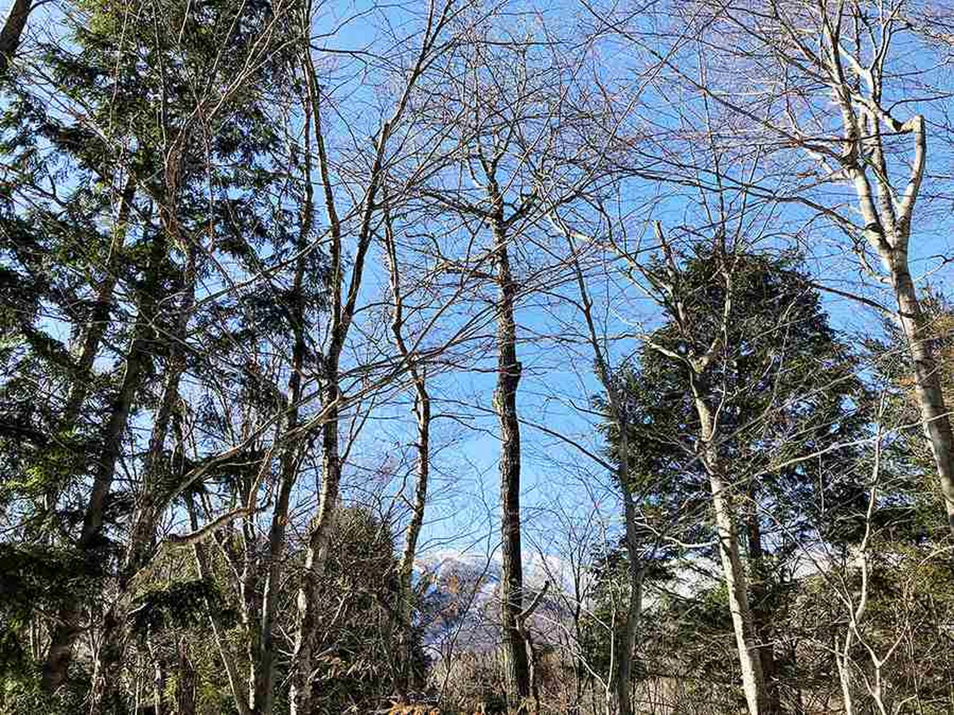 130 Colony Road Warren VT 05674