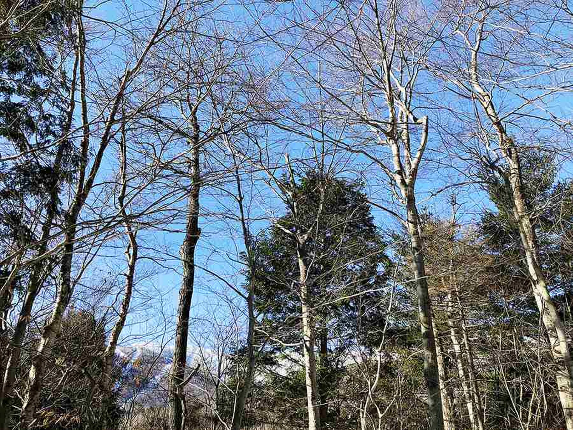 130 Colony Road Warren VT 05674
