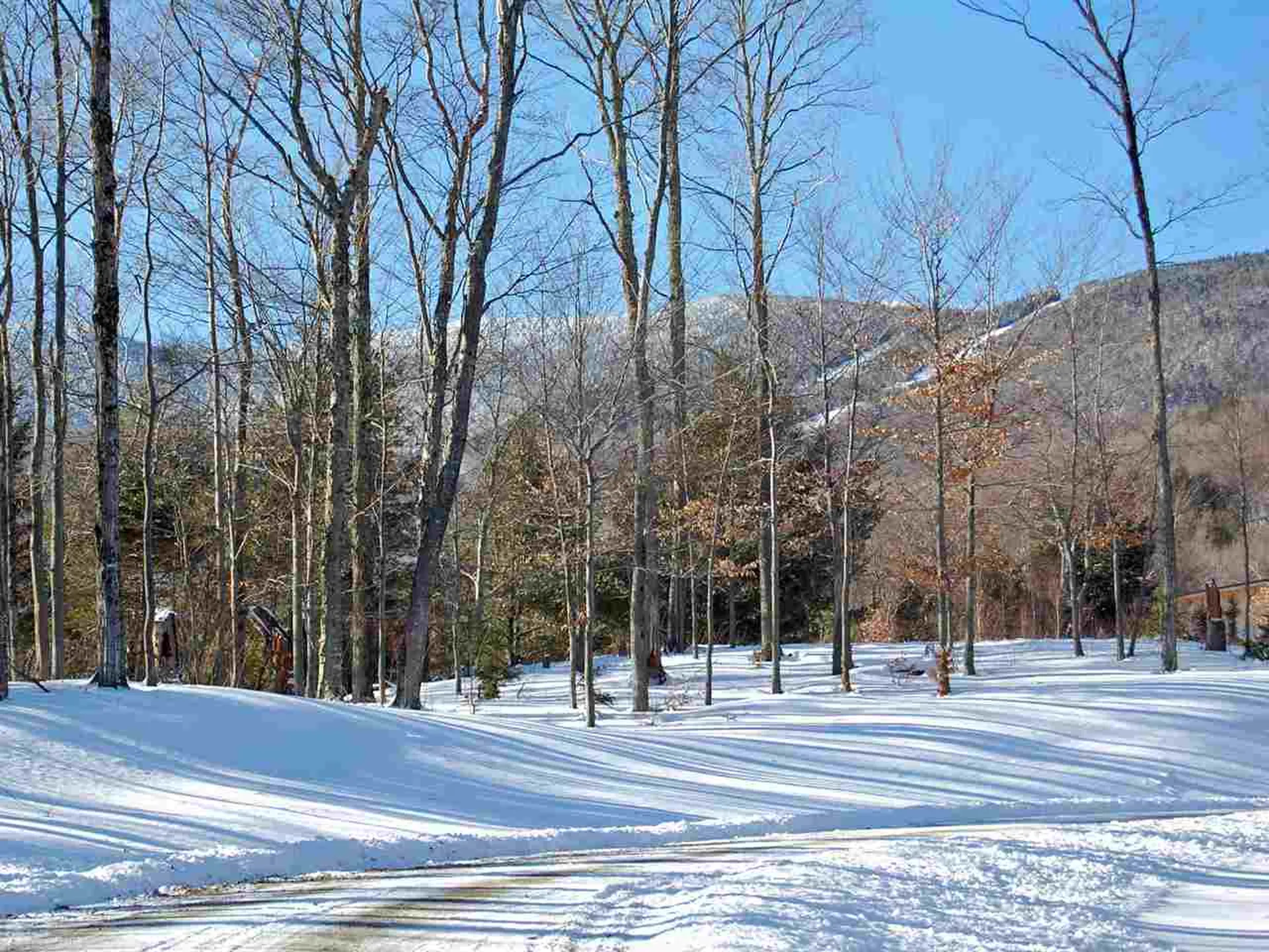 130 Colony Road Warren VT 05674