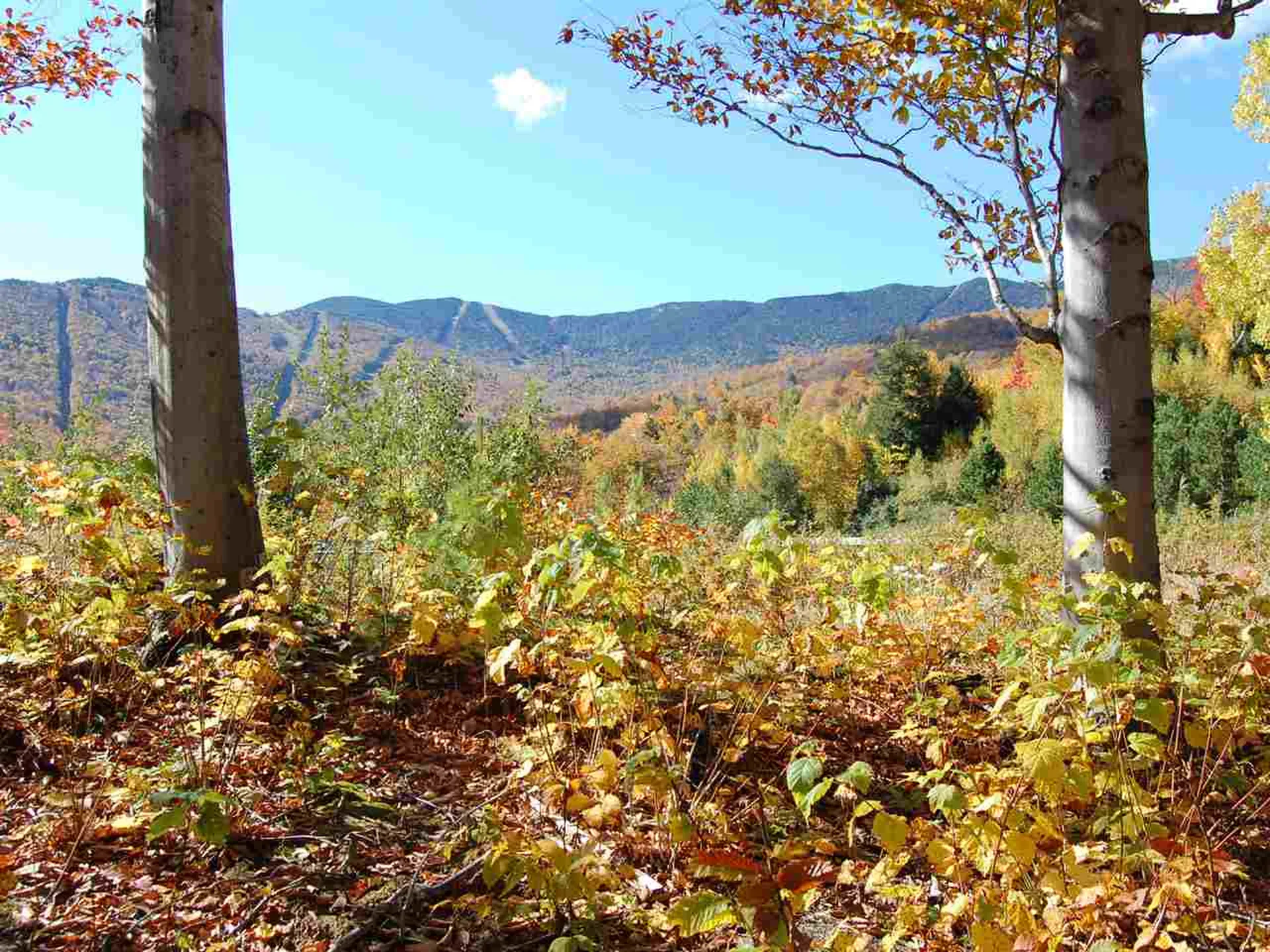 130 Colony Road Warren VT 05674