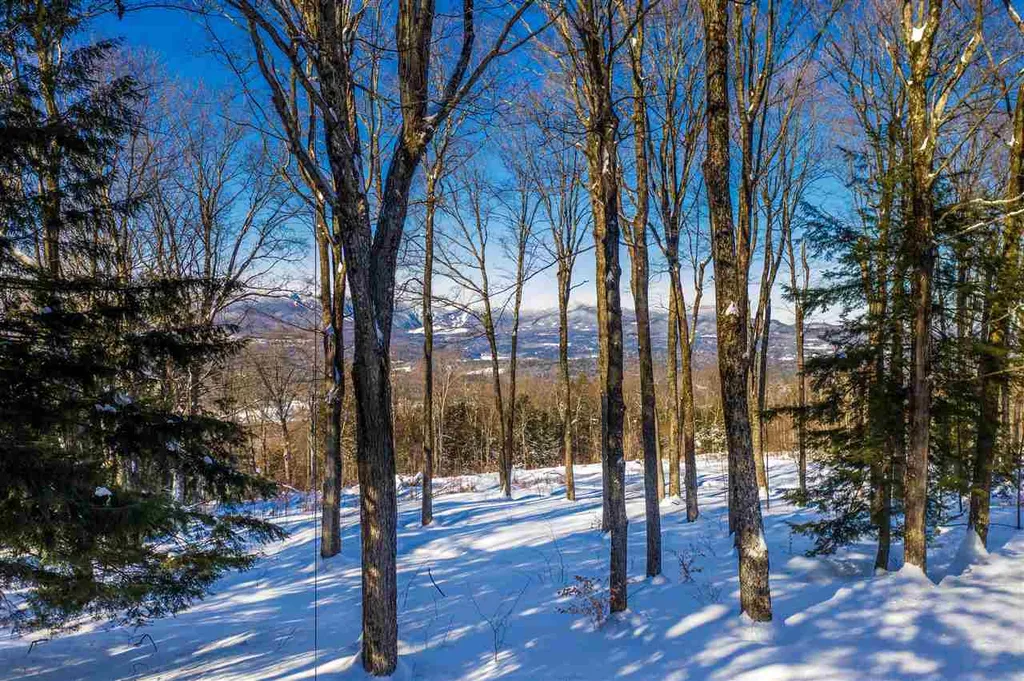 990 Ayers Farm Road Stowe VT 05672