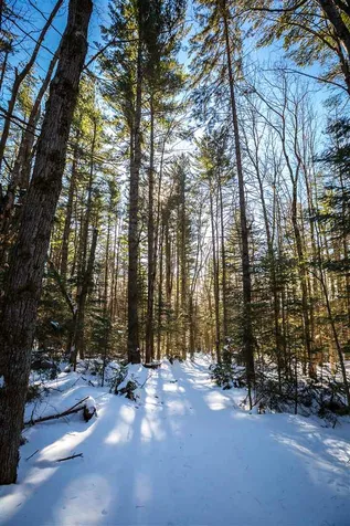 101 Cody Road Landgrove VT 05148