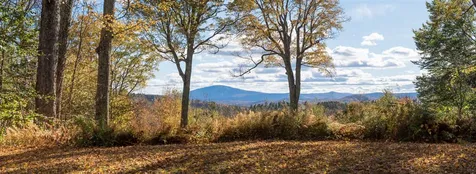 101 Cody Road Landgrove VT 05148