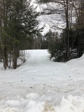 3215 Trebo Road Chester VT 05143