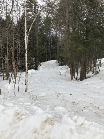 3215 Trebo Road Chester VT 05143
