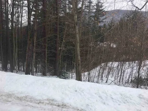 Lot #6 Maggies Run Sunderland VT 05250
