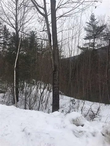 Lot #6 Maggies Run Sunderland VT 05250