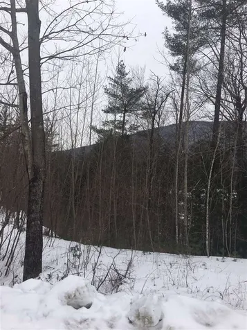 Lot #6 Maggies Run Sunderland VT 05250
