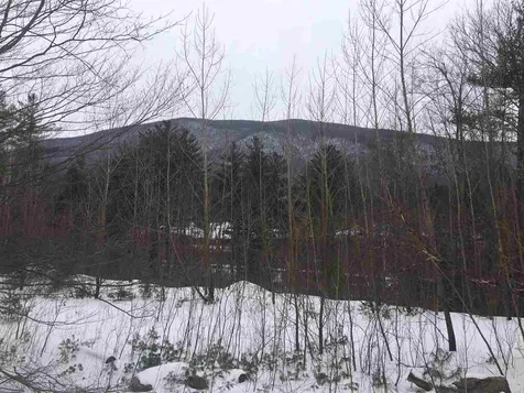 Lot #6 Maggies Run Sunderland VT 05250