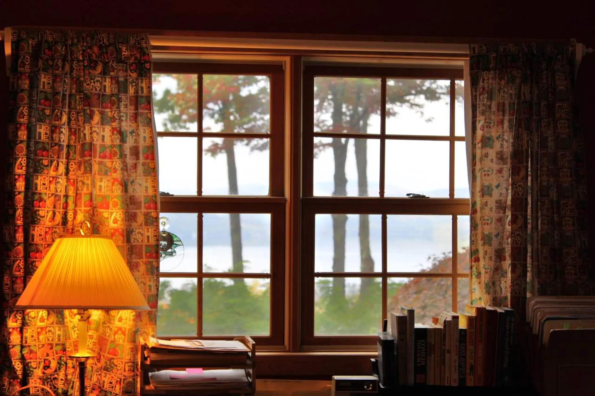 95 Ridge View Drive Bridgewater NH 03222