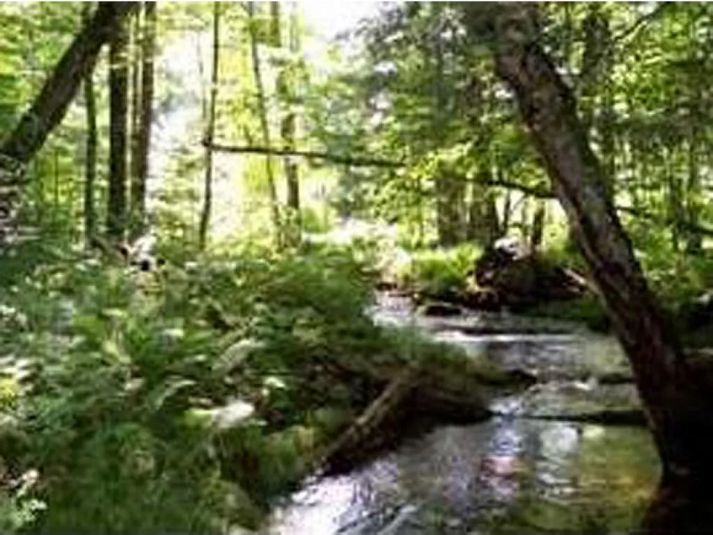 0000 Center Fayston Road Fayston VT 05660
