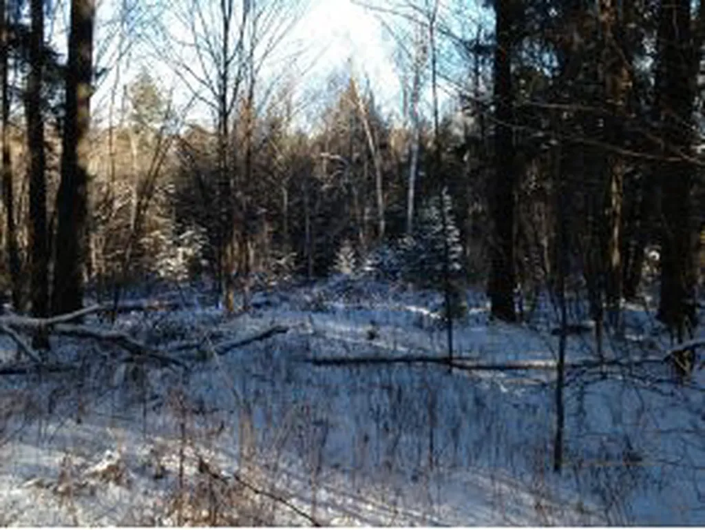 0000 Center Fayston Road Fayston VT 05660