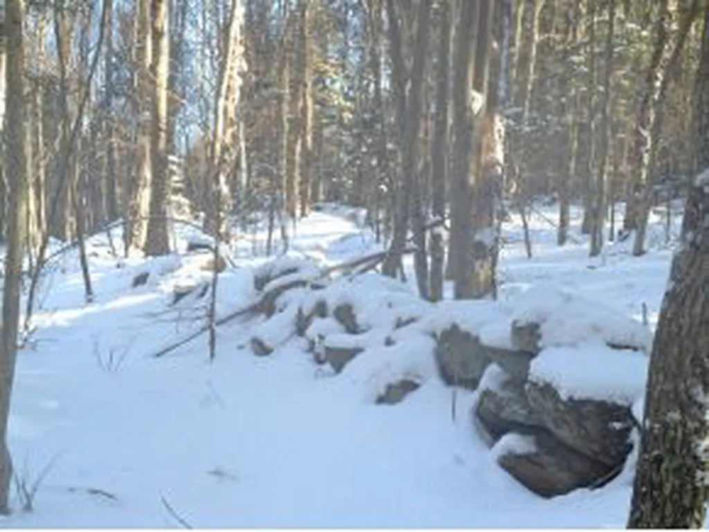 0000 Center Fayston Road Fayston VT 05660