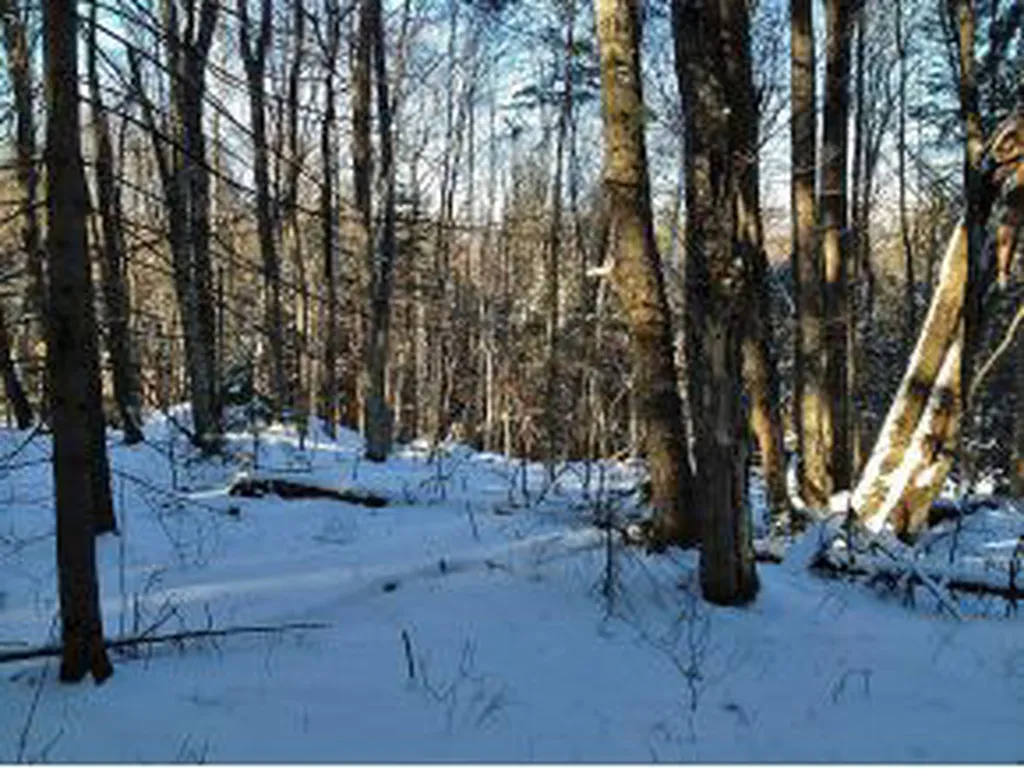 0000 Center Fayston Road Fayston VT 05660