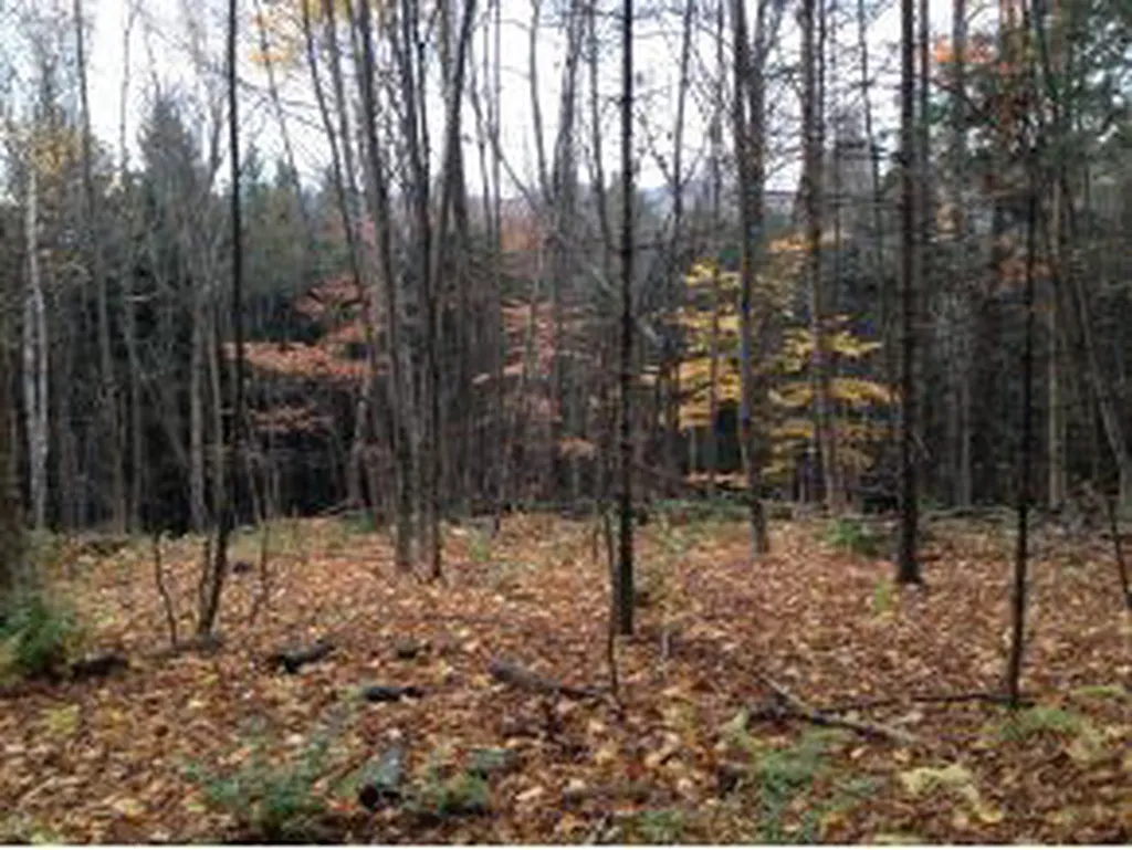 0000 Center Fayston Road Fayston VT 05660