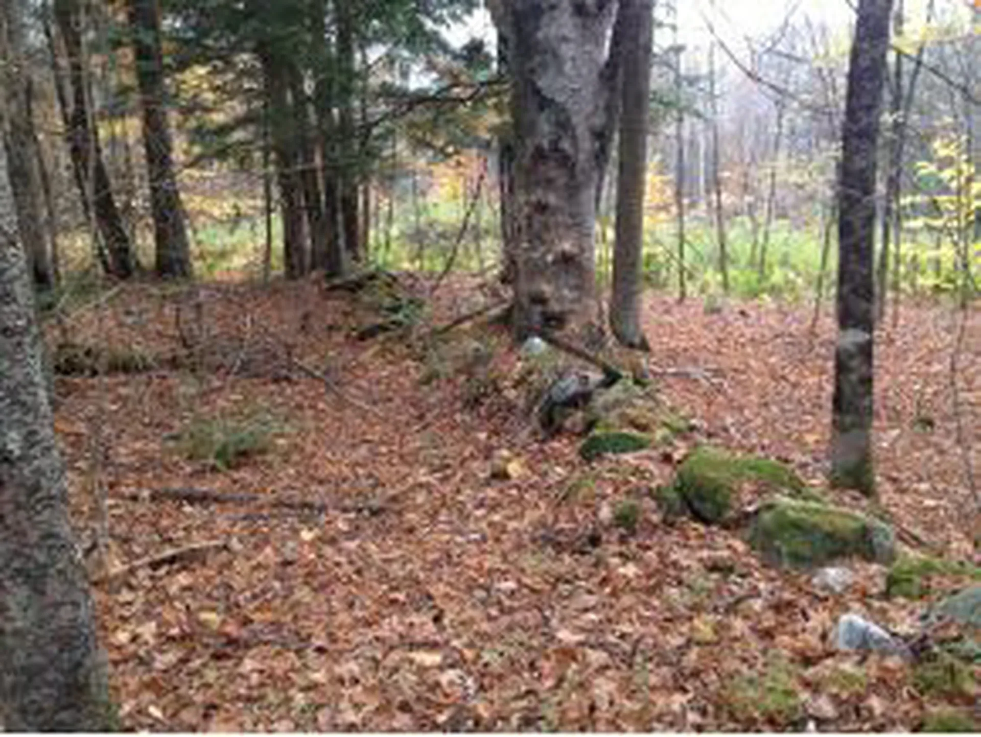 0000 Center Fayston Road Fayston VT 05660